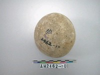 藏品(近球狀礫石)的圖片